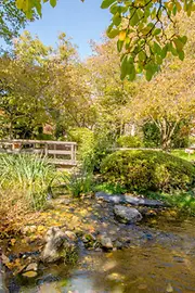 Japanese Garden in the 19th district